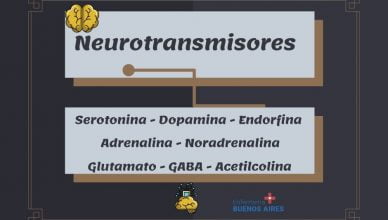 neurotransmisores 1